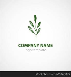 Template for a logo with green leaf. Vector illustration EPS10. Template for a logo with green leaf. Vector illustration