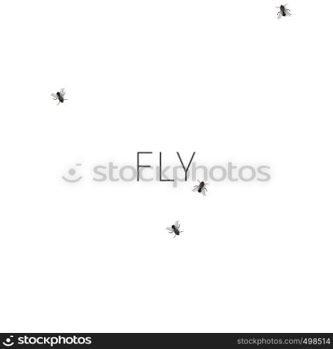 Template of white background with flies. Pattern with crawling houseflies.. Pattern with crawling houseflies