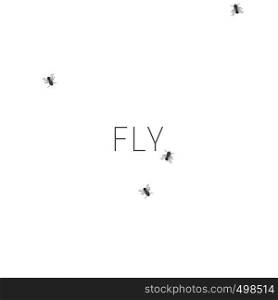 Template of white background with flies. Pattern with crawling houseflies.. Pattern with crawling houseflies