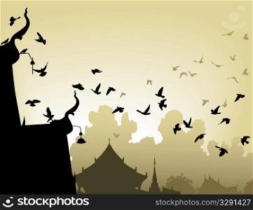 Temple pigeons