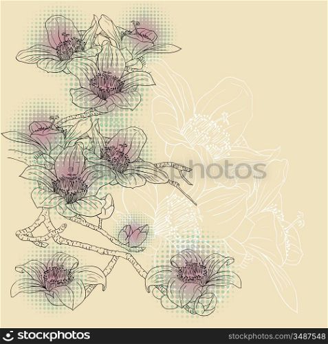 tender twig blossoming orchids on a light background