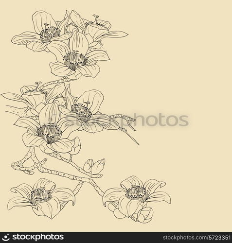 tender twig blossoming orchids on a light background