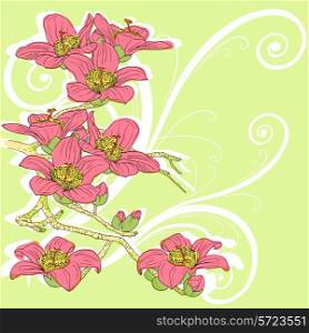 tender twig blossoming orchids on a light background