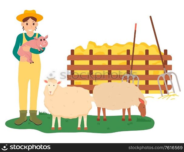 Tending animals at farm vector, farming woman holding pig standing by sheep and hay with instruments for dried grass. Farmer busy with work isolated. Farming Woman Holding Pig by Sheep Farm Vector