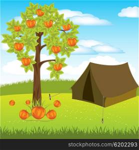 Tent under aple tree. The Tent on year meadow under aple tree.Vector illustration