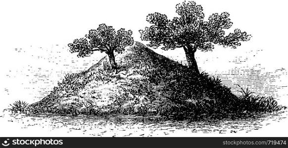 Termite Mound in Southern Africa, 4 meters high and covered by vegetation, engraving based on the English edition, vintage illustration. Le Tour du Monde, Travel Journal, 1881