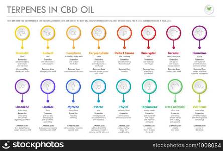 Terpenes in CBD Oil with Structural Formulas horizontal business infographic illustration about cannabis as herbal alternative medicine and chemical therapy, healthcare and medical science vector.