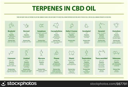 Terpenes in CBD Oil with Structural Formulas horizontal infographic illustration about cannabis as herbal alternative medicine and chemical therapy, healthcare and medical science vector.