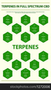 Terpenes in Full Spectrum CBD with Structural Formulas vertical infographic illustration about cannabis as herbal alternative medicine and chemical therapy, healthcare and medical science vector.