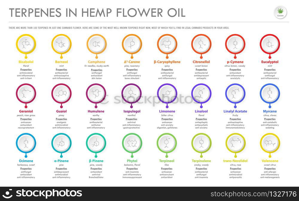 Terpenes In Hemp Flower Oil With Structural Formulas Horizontal ...