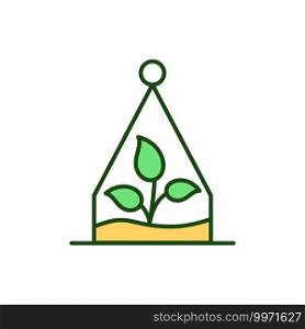 Terrarium RGB color icon. Plant in jar. Succulent growing. Florarium for house. Cactus in bottle for living space. Home interior decoration. Biophilic design. Isolated vector illustration. Terrarium RGB color icon