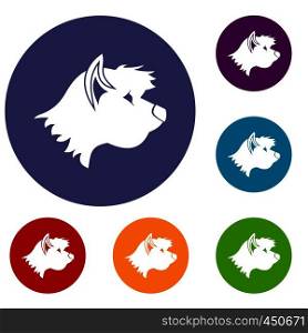 Terrier dog icons set in flat circle reb, blue and green color for web. Terrier dog icons set