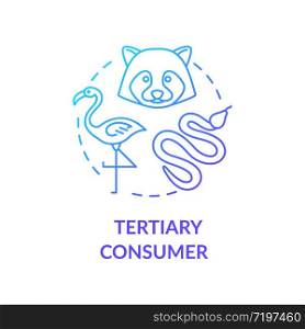 Tertiary consumer concept icon. Grazing food chain link. Small carnivores and birds. Natural ecosystem idea thin line illustration. Vector isolated outline RGB color drawing