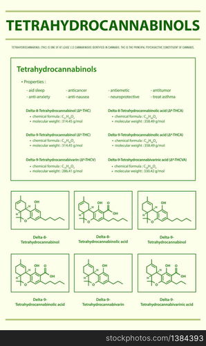 Tetrahydrocannabinol THC with Structural Formulas in Cannabis vertical infographic illustration about cannabis as herbal alternative medicine and chemical therapy, healthcare and medical science vector.