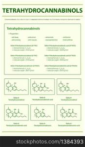 Tetrahydrocannabinol THC with Structural Formulas in Cannabis vertical infographic illustration about cannabis as herbal alternative medicine and chemical therapy, healthcare and medical science vector.