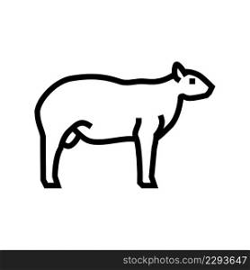 texel sheep line icon vector. texel sheep sign. isolated contour symbol black illustration. texel sheep line icon vector illustration