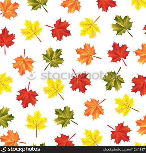 texture autumn maple leaves