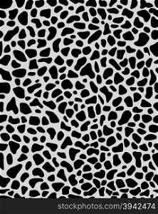 texture of leopard