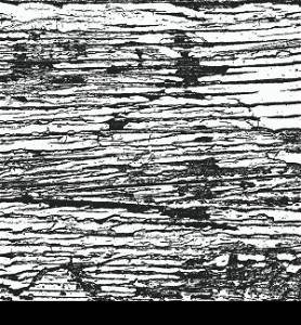 texture; paint; vector; cracked; crack; grunge; distressed; background; abstract; dirty; pattern; design; crackle; old; white; weathered; illustration; distress; art; rough; wall; vintage; textured; black; paper; aged; antique; overlay; dirt; surface; ancient; wallpaper; material; broken; retro; element; worn; messy; dust; plaster; decorative; detail; splatter; grungy; damaged; effect; backdrop; scratch; frame