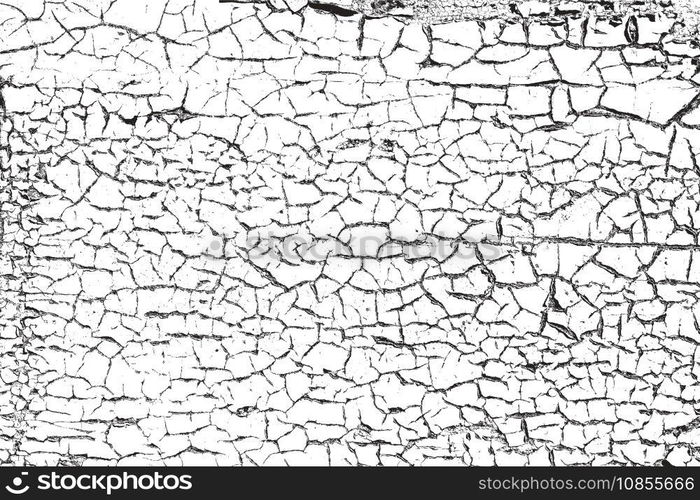 Texture vector image
