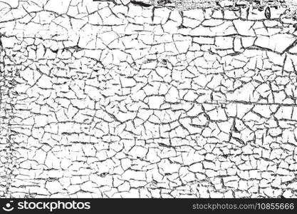 Texture vector image