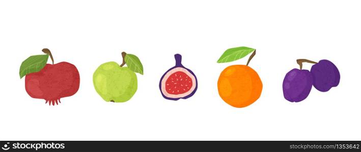 Textured fruit - apple, orange, pomegranates, figs and plum isolated design elements on white. Healthy diet organic food with hand made textures. Paper effected flat vector objects. Textured fruit hand drawn set