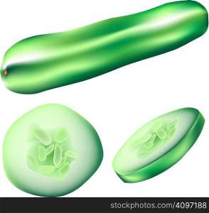 Textured vector illustration of a whole cucumber, slice, and wedge