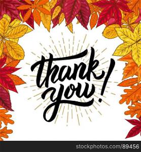 thank you. Hand drawn lettering phrase on background with autumn leaves. Vector illustration.
