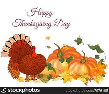Thanksgiving Day Greeting Card With Text Space. Design Consist From Pumpkin, Turkey, Tomato, Maple Leaves Over White Background. Very Cute and Warm Colors. Vector illustration.