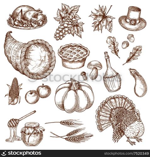 Thanksgiving day sketched symbols for greeting. Vector isolated traditional thanksgiving dinner turkey, cornucopia, pumpkin, vegetables harvest, grape bunch, corn, pilgrim hat. Decoration elements for thanksgiving cards, posters. Thanksgiving day sketched symbols for greeting