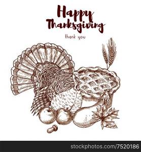 Thanksgiving holiday sketch turkey, pie, harvest. Vector elements of traditional thanksgiving celebration dinner meal in retro style. Thanksgiving holiday sketch turkey, pie, harvest