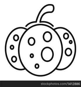 Thanksgiving pumpkin icon. Outline thanksgiving pumpkin vector icon for web design isolated on white background. Thanksgiving pumpkin icon, outline style