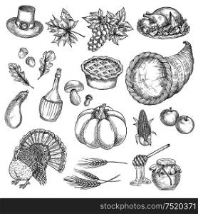 Thanksgiving sketch vector isolated icons of traditional celebration. Thanksgiving turkey, cornucopia, pumpkin, vegetables harvest, grape bunch, corn, pilgrim hat. Decoration symbol elements for thanksgiving greeting cards. Thanksgiving sketch vector isolated icons