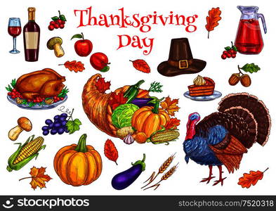 Thanksgiving traditional celebration symbols. Turkey, cornucopia food horn, pilgrim hat, pumpkin, pie, vegetables harvest, corn, apple. Vector isolated decoration elements for thanksgiving greeting card. Thanksgiving traditional celebration symbols