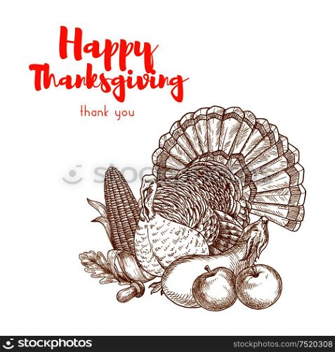 Thanksgiving traditional turkey for greeting card design. Vector sketch of turkey bird with vegetables, apples, corn and autumn leaves for thanksgiving holiday celebration banner, poster, placard, sticker. Thanksgiving traditional turkey for greeting card