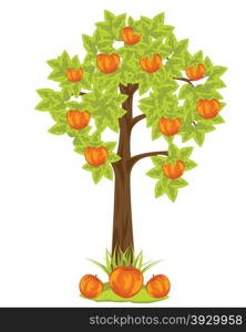 The Aple tree with harvest red apple.Vector illustration. Aple tree