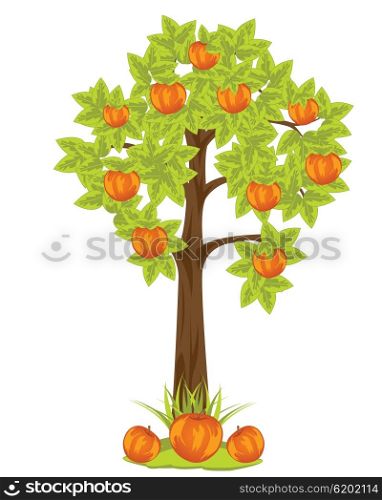The Aple tree with harvest red apple.Vector illustration. Aple tree