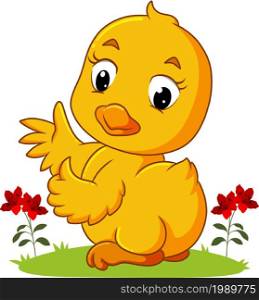 The baby bird is giving the thumb up with the happy face of illustration