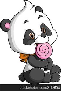 The baby panda is holding and eating the sweet lollypop