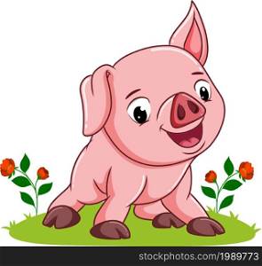 The baby pig is giving the happy expression of illustration