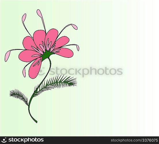 The beautiful figure of a flower maked in a vector