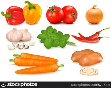 The big colorful group of vegetables. Photo-realistic vector