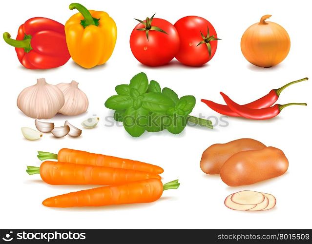 The big colorful group of vegetables. Photo-realistic vector