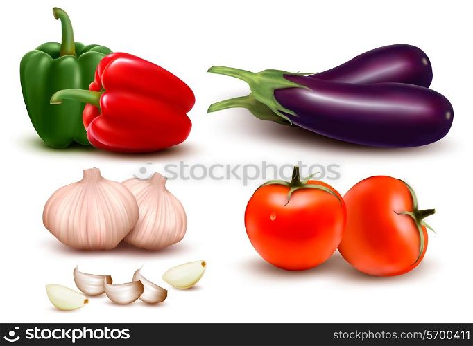 The big colorful group of vegetables. Vector