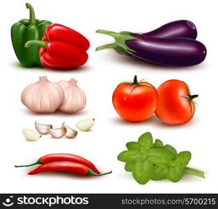 The big colorful group of vegetables. Vector illustration.