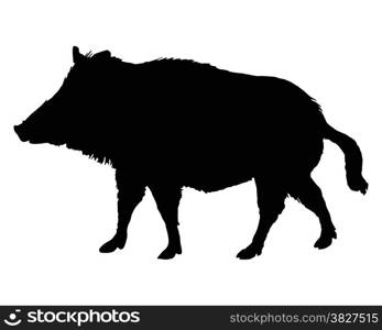 The black silhouette of a boar on white