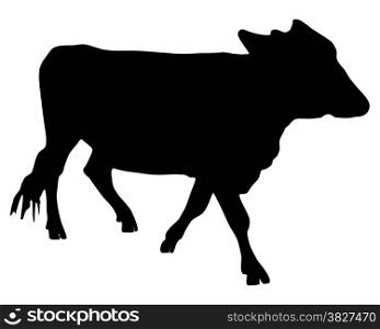 The black silhouette of a cow on white