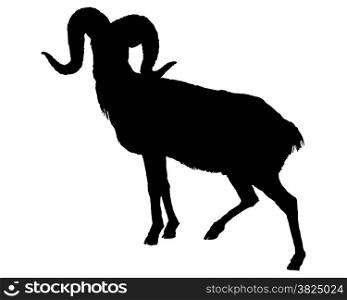 The black silhouette of a ram on white