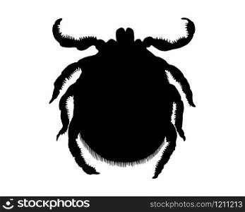 The black silhouette of a tick on white