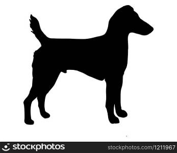The black silhouette of a Westfalen Terrier